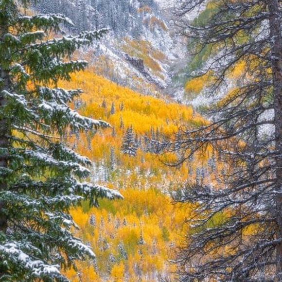 Meet your Posher, Ann - Picture 1 of 1